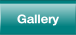 Gallery.